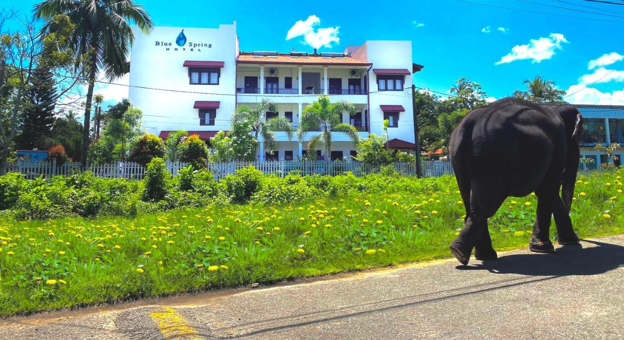 Blue Spring Hotel Wadduwa Eksteriør billede